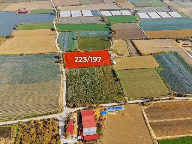 BAYINDIR YAKAPINAR'DA 7.432 M2 YATIRIMLIK TARLA FIRSATI
