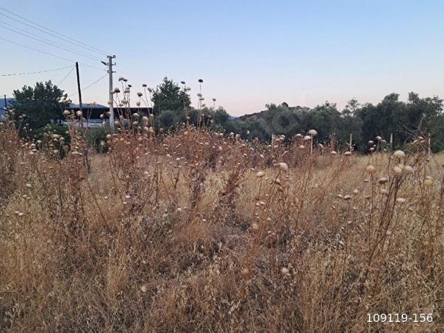 BAYINDIR ARIKBAŞI'NDA 501 M2. 2 KAT İMARLI ARSA SATILIKTIR