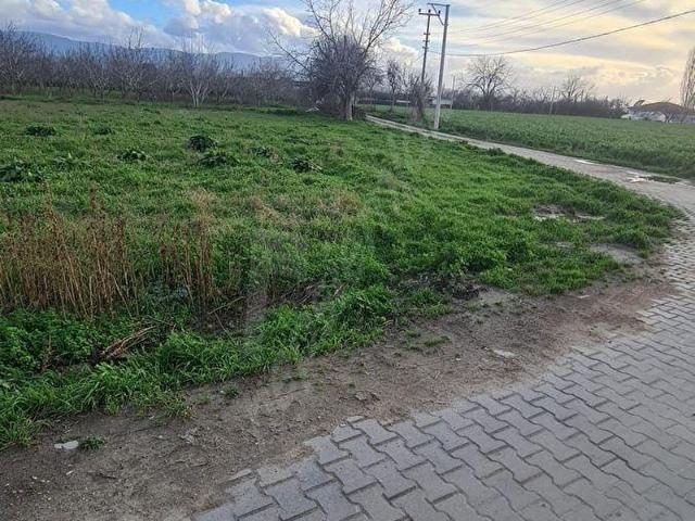 BAYINDIR ERGENLİ SATILIK İMARLI TARLA