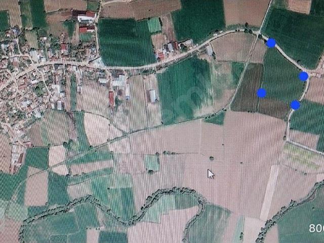 BAYINDIR HASKÖY'de SATILIK 15000M2 VERİMLİ TARLA
