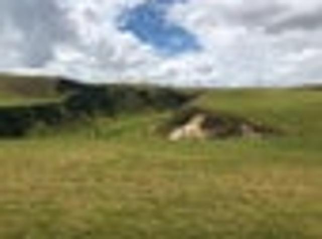 Baylys Beach section