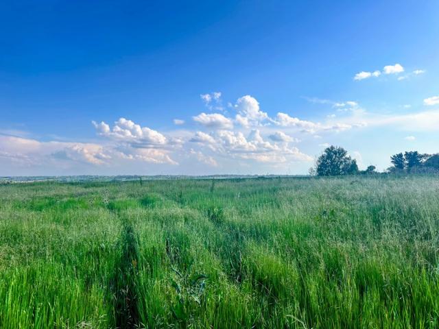 Bazus Vente Terrain 31