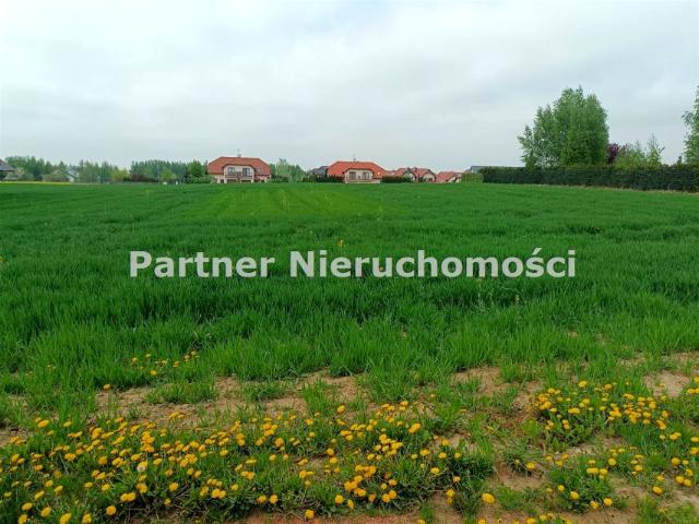 Bazaltowa 3 009 m², Różankowo