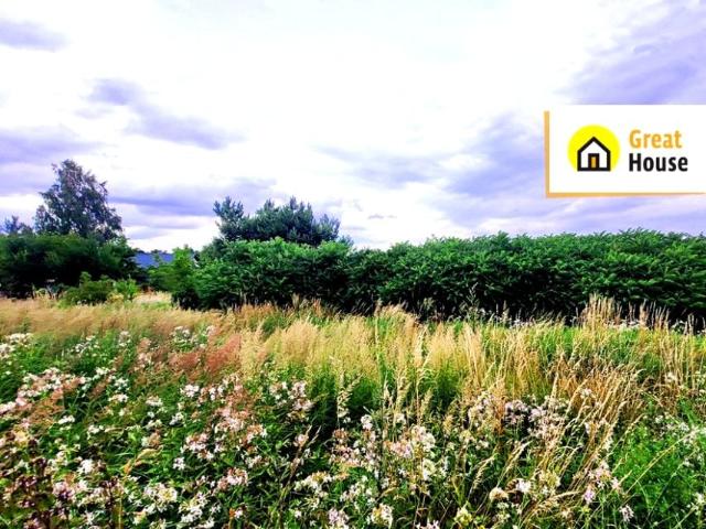 Bazaltowa 1 251 m², Bilcza
