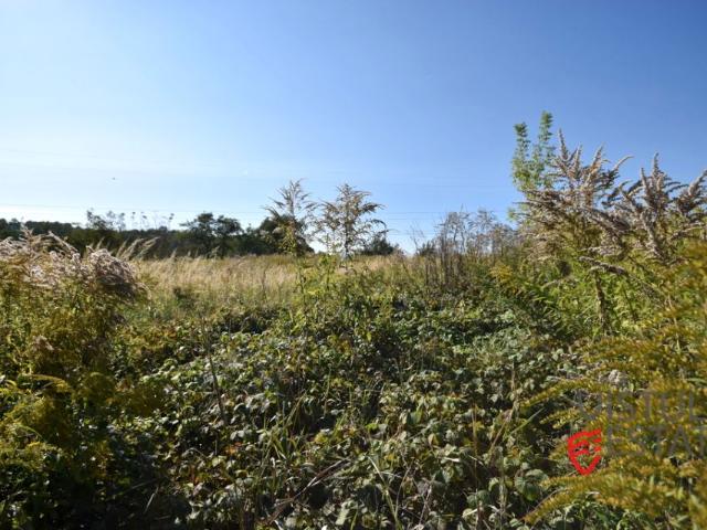 Bazaltowa 2 775 m², Garlica Murowana