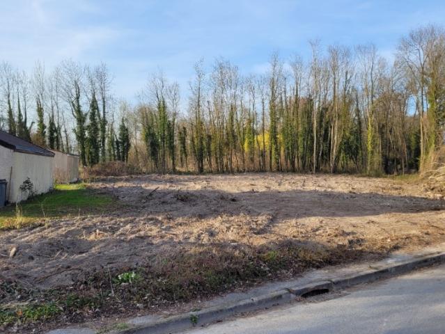 Bazancourt Vente Terrain 51