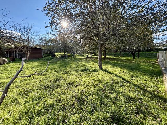 Bazas Vente Terrain 33