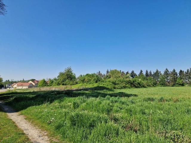 BAZICOURT 60