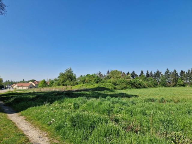 BAZICOURT 60