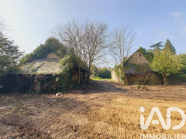 Bazouges la Pérouse Vente Maison 35