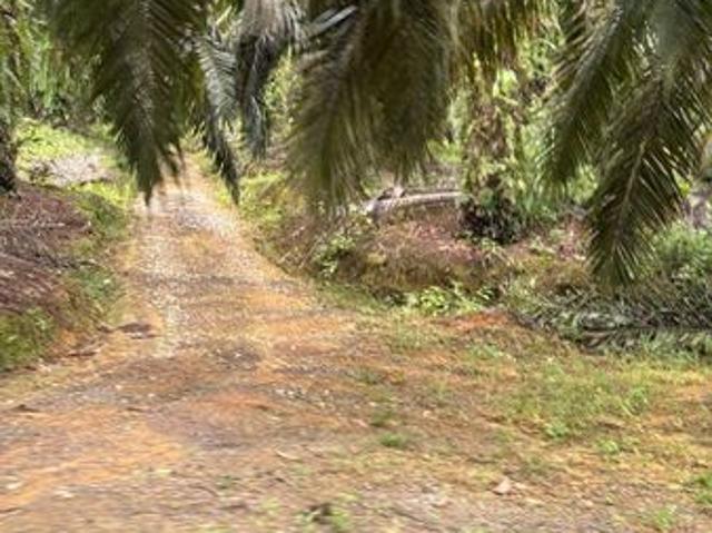 BDR KOTA TINGGI