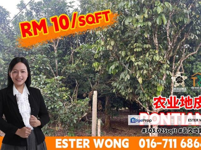 BDR PONTIAN