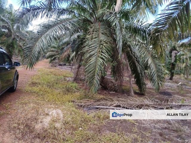 BDR PONTIAN