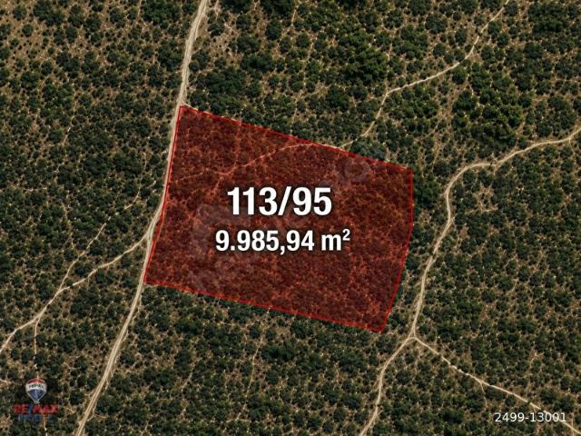 BEŞPINAR'DA DOĞAYLA İÇ İÇE, SUYU OLAN VE ÜRETİME UYGUN 9.986 m TARLA