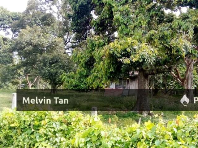 Bemban,Ayer Molek Melaka