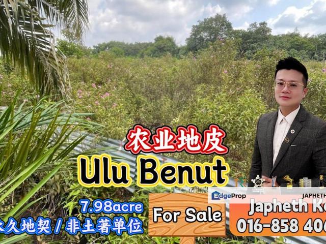 Benut
