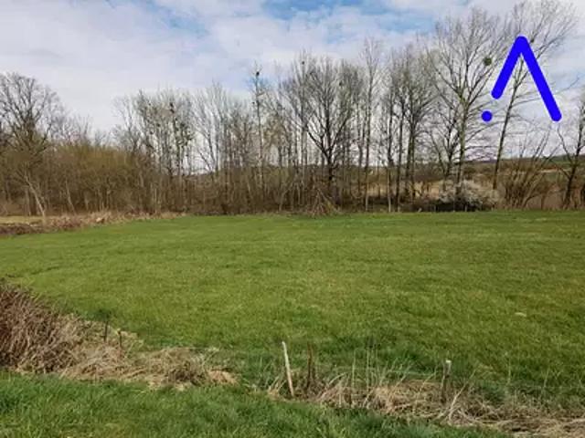 Bénaménil 54450 Achat / Vente terrain