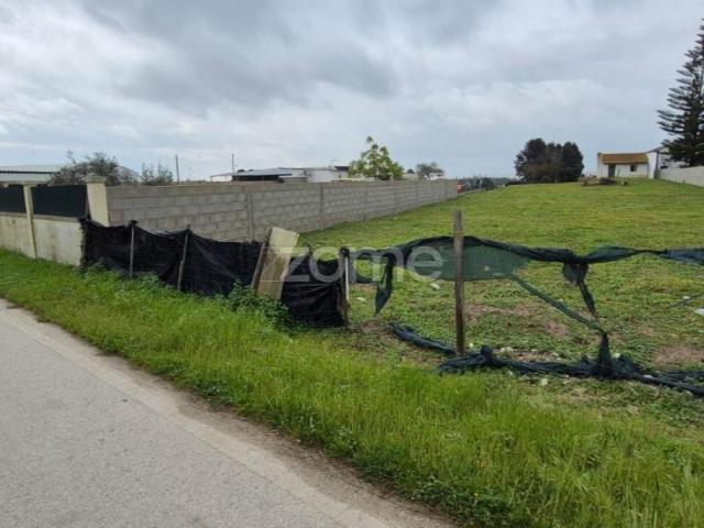 Benavente Benavente LS89341139