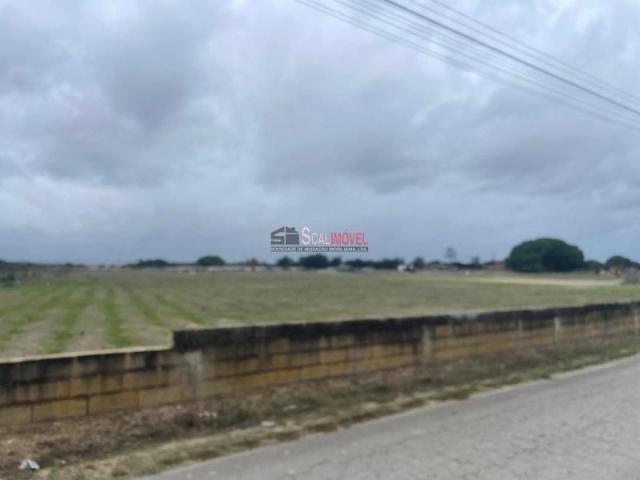 Benavente Benavente LS96300019