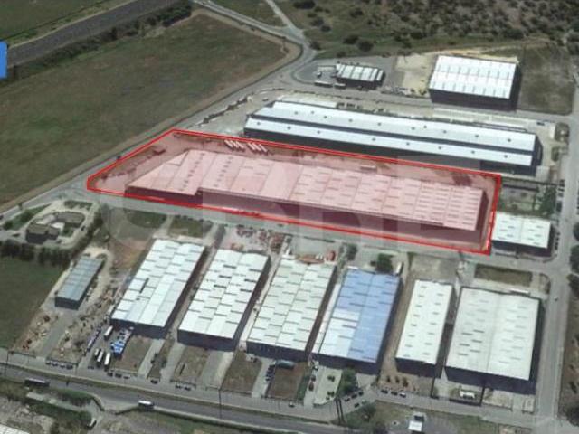 Benavente Benavente 100505841