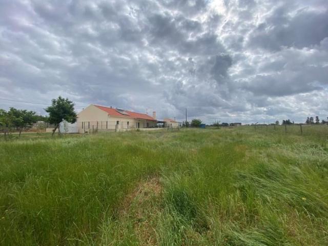 Benavente Benavente 102031795