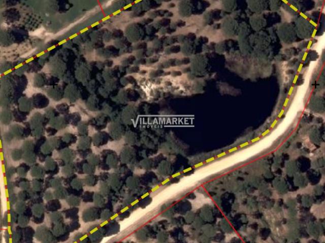 Benavente Santarém 103152404
