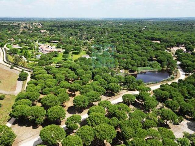 Benavente Santarém 2130 517 102311091