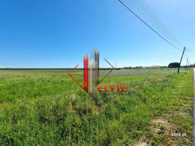 Benavente Santarém 2130 322 82380767