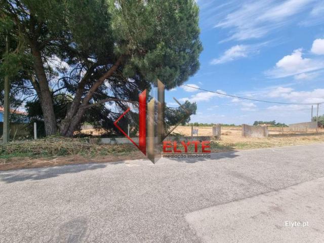 Benavente Santarém 2130 344 91862897