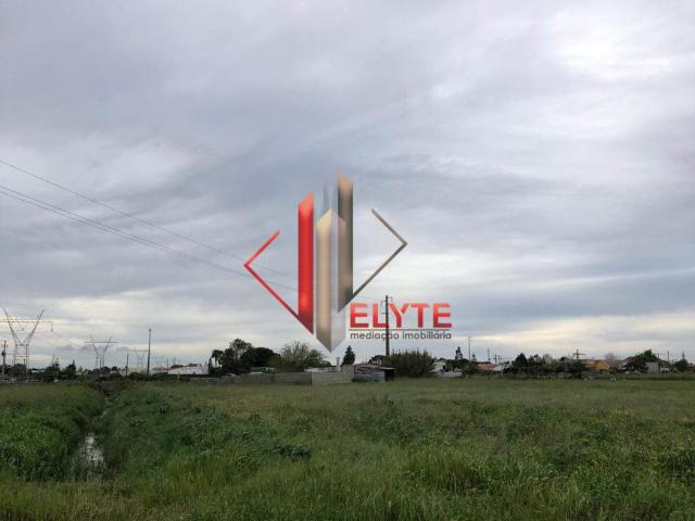 Benavente Santarém 2135 009 82380765
