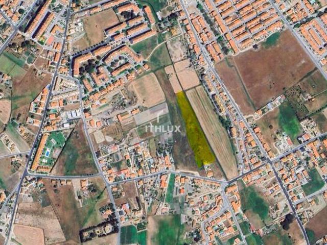 Benavente Santarém 86007486