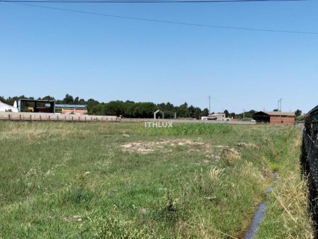 Benavente Santarém 86007009