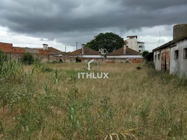 Benavente Santarém 87909629
