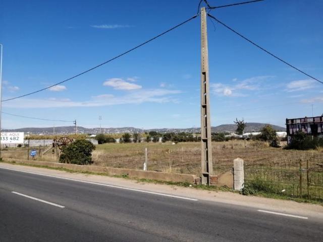 Benavente Santarém 96292825