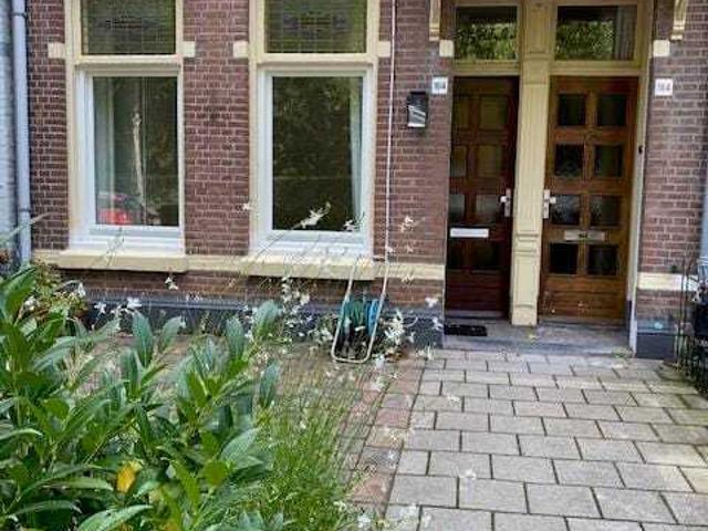 Benedenwoning appartement te huur in Haarlem