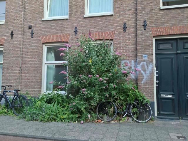 Benedenwoning in Amsterdam