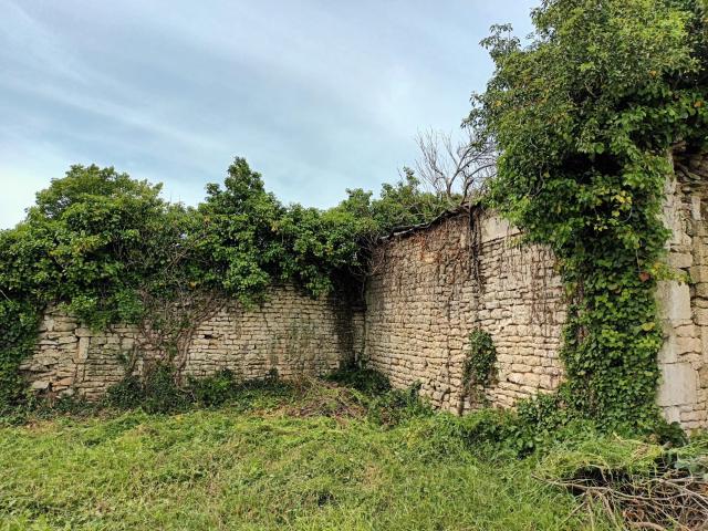 Benet Vente Terrain 85