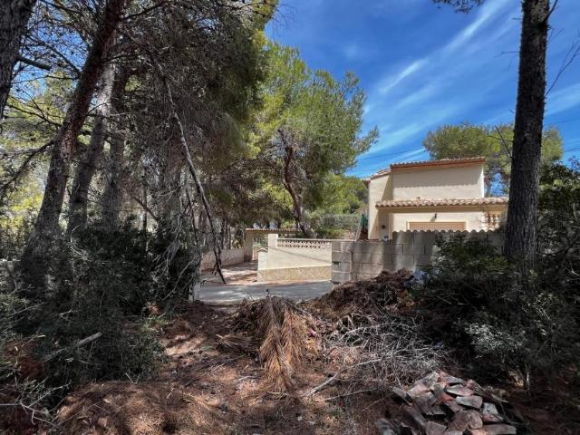Terrenos Benissa Alicante/Alacant 79008069