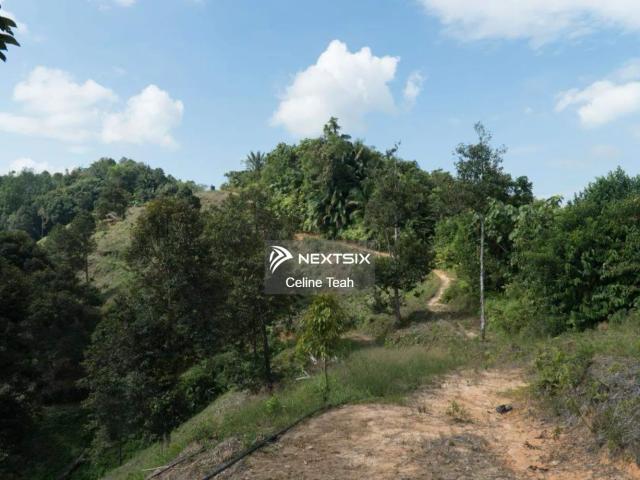 Benoni Parklane Papar For Sale