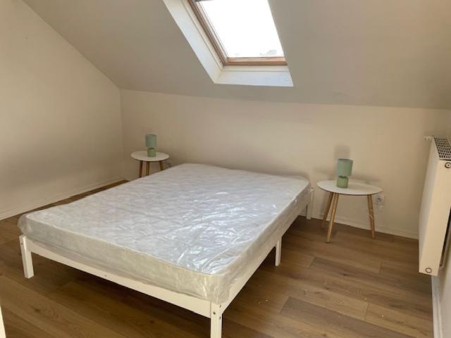 BEAU DUPLEX EN HYPER CENTRE VILLE