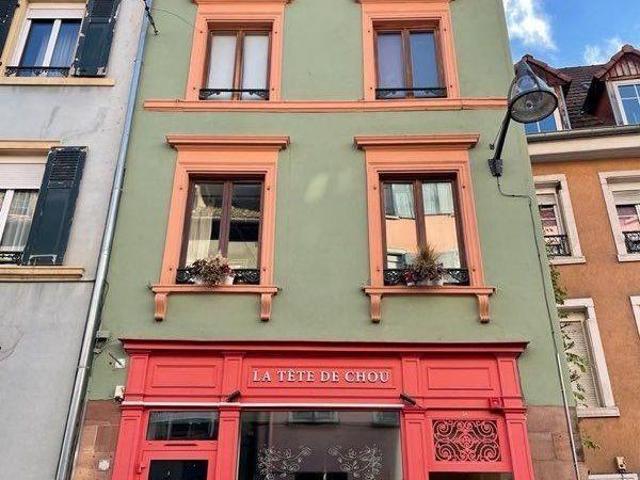Beau Duplex Mulhouse 1 chambre + 2 pièces