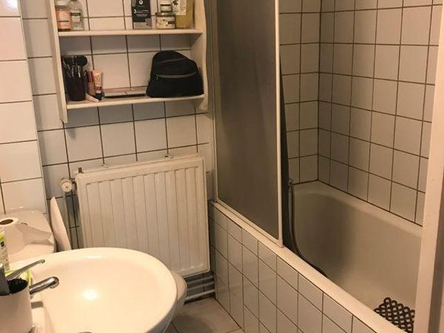 Beau F1 meublé 30m² proche fac de lettres