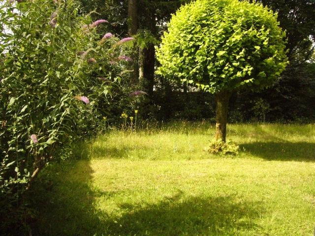 Beau studio 24m² donnant sur jardin Nantes