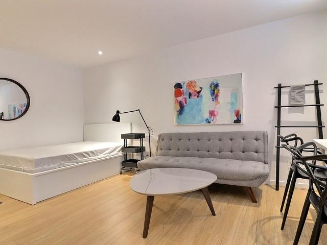 Beau Studio Meublé TOUT COMPRIS Plateau