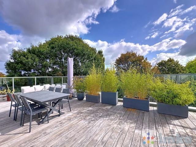 Beau T4 / Rooftop