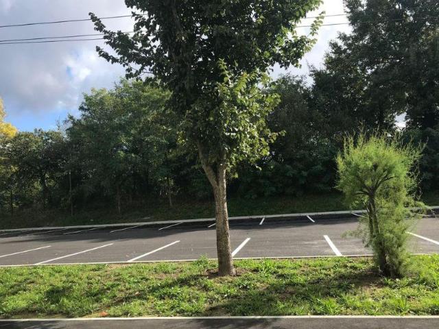 Beau T1 meublé 21m² au calme