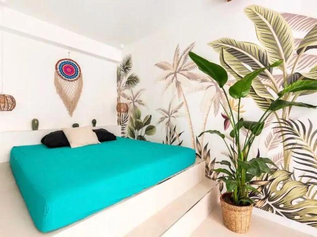 Beau T2 PANIER 45m² dispo jusqu'au 30 juin 2025