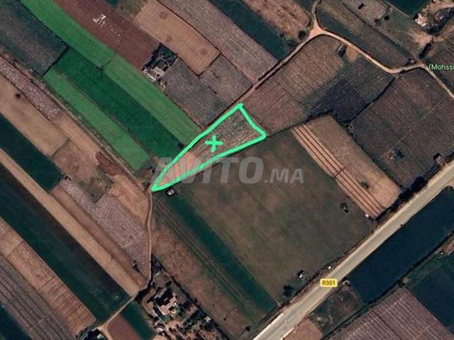 Beau terrain 4000m² Oulad Ghanem Proche R301