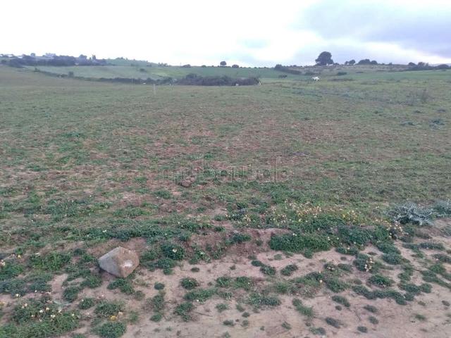 Beau terrain à la vente à M'Diq. Surface de 1260 m²