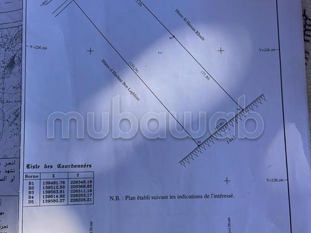 Beau terrain à la vente à Surface totale 25000 m²